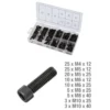 Assortiment de vis 6 pans 106 pièces KS TOOLS 970.0390