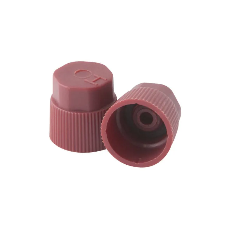 Bouchons haute pression m10x1,25 (5 pcs) CLAS CO 4038