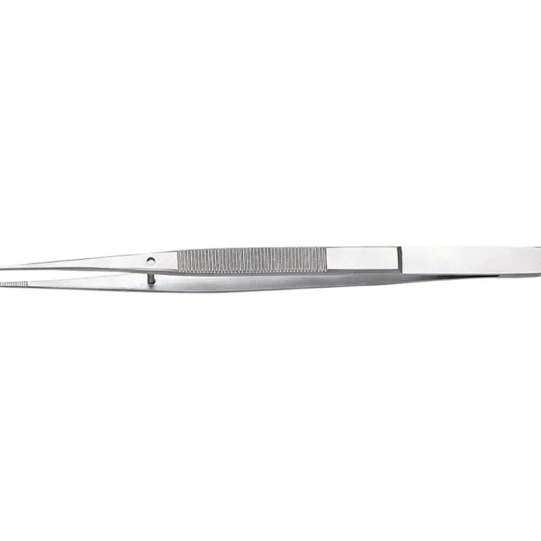 Brucelle Droite 155 Mm SAM Outillage - 365-2
