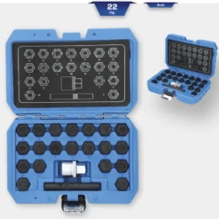 Coffret de démontage d'écrous antivols Audi 22pcs BRILLIANT TOOLS - BT691360