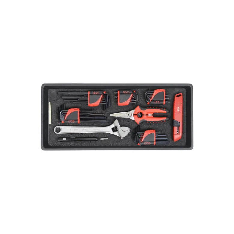 Composition Agricole Et Pl De 244 Outils En Module Abs SAM Outillage - CPP-244M