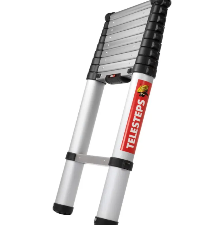 Echelle ECO Line 3m en aluminium anodisé - TELESTEPS 20130