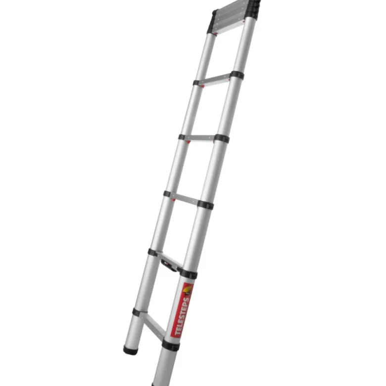 Echelle ECO Line 3m en aluminium anodisé - TELESTEPS 20130