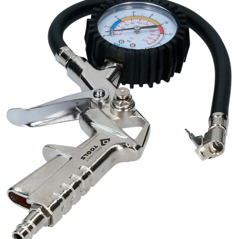 Gonfleur d'air 0-16bar BRILLIANT TOOLS - BT691019