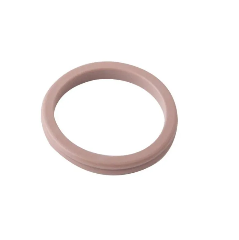Joints double levre psa (10 pcs) CLAS CO 4020