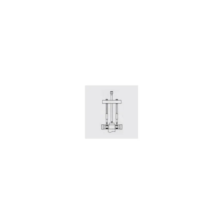 Kit d’extracteur de roulement 10pcs BRILLIANT TOOLS - BT631050