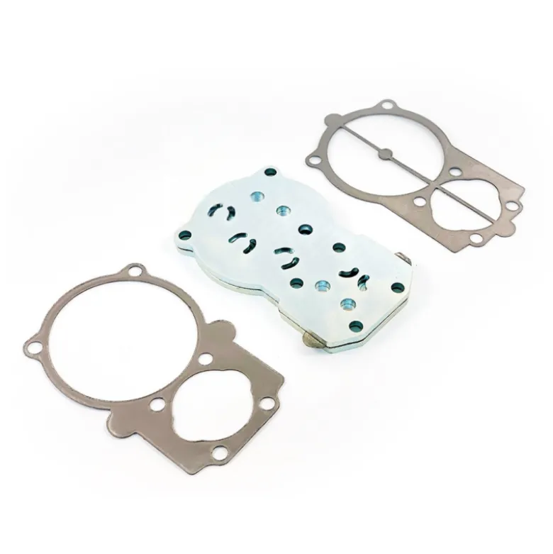 Kit plaque porte-clapet pour B5900 ABAC - 2236112801