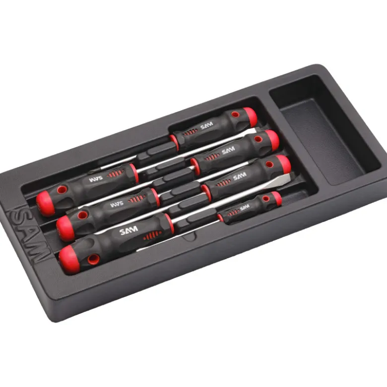 Module Abs 1/3 De 7 Tournevis Fente Et Phillips SAM Outillage - TA-1M