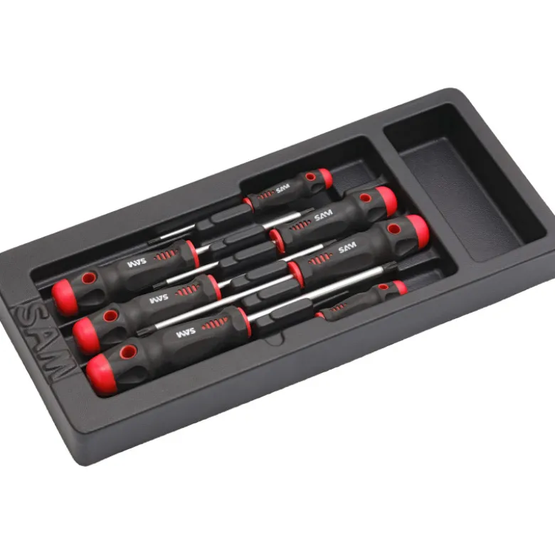 Module Abs 1/3 De 7 Tournevis Torx SAM Outillage - TA-XJ7MN
