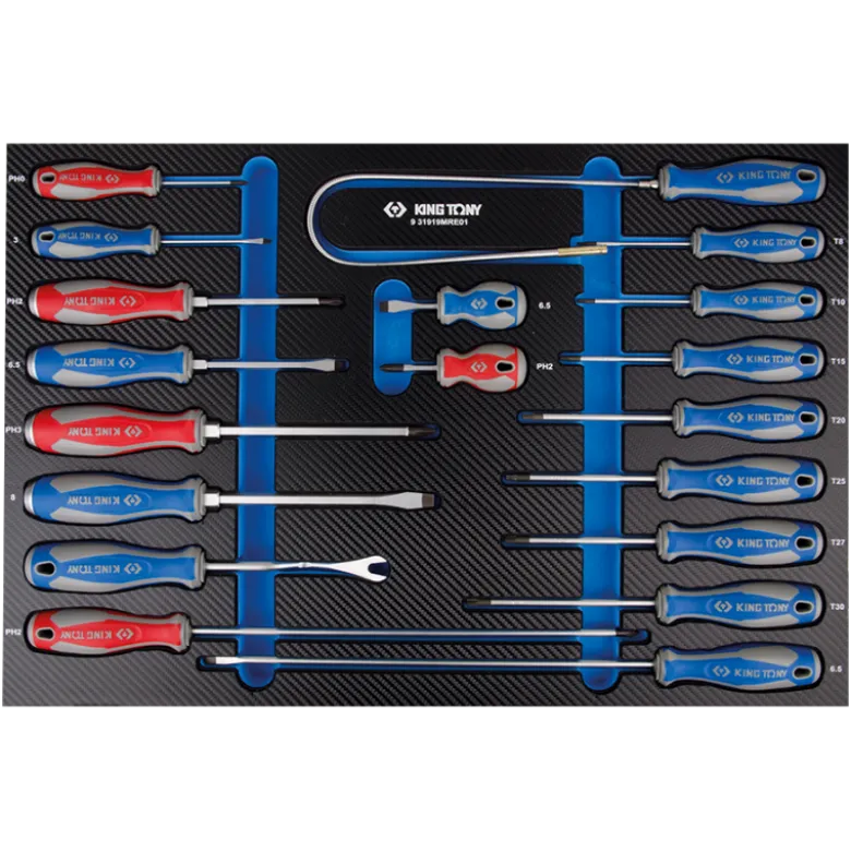Module Mousse + Pp 19 Pièces Tournevis- Doigt Magnétique King Tony - 931919MRE01
