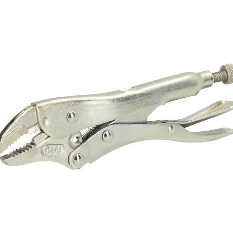 Pince étau L140mm BRILLIANT TOOLS - BT065902