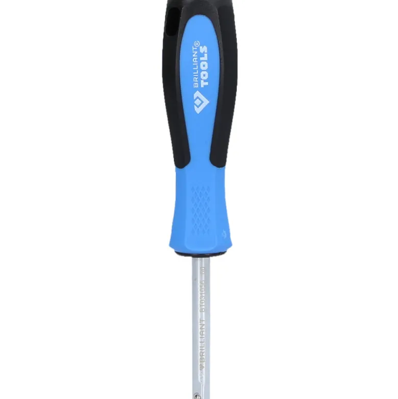 Poignée emmanchée 1/4" L60mm BRILLIANT TOOLS - BT031056